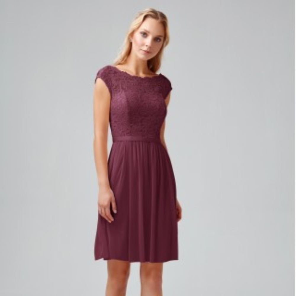 Davids Bridal Size 6 Lace/Mesh Dress